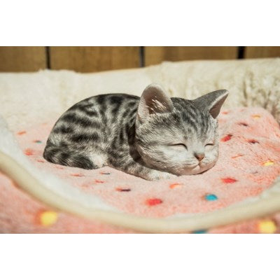 Sleeping Kitten Grey Tabby - Tricia's Gems