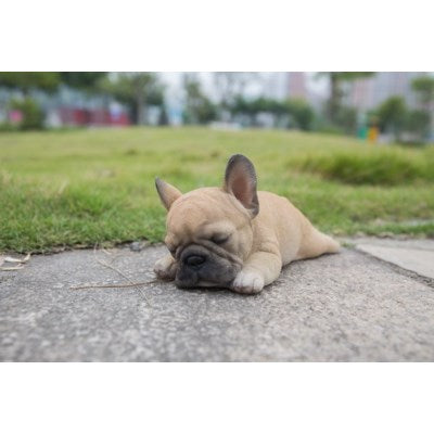 Pet Pals - French Bulldog Puppy Sleeping - Tricia's Gems