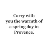 Spring Provence Glass Bead | Trollbeads - Tricia's Gems