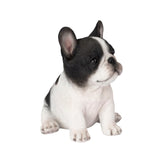 White and black French Bulldog puppy resin figurine decorative dog statue for home décor.