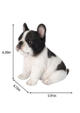 White and black French Bulldog puppy resin figurine decorative dog statue for home décor.