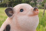 Pet Pals chubby pink piglet sitting statue with black spots made from polyresin for indoor and outdoor home and garden décor.