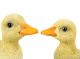 Pet Pals yellow duckling garden statue set featuring two ducklings with realistic feather details for indoor and outdoor décor.
