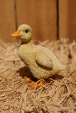 Pet Pals yellow duckling garden statue set featuring two ducklings with realistic feather details for indoor and outdoor décor.
