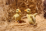 Pet Pals yellow duckling garden statue set featuring two ducklings with realistic feather details for indoor and outdoor décor.