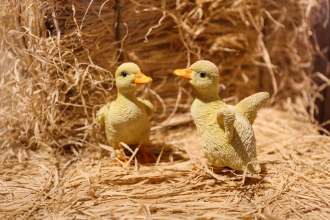 Pet Pals yellow duckling garden statue set featuring two ducklings with realistic feather details for indoor and outdoor décor.