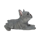 SOREAL grey blue lying French Bulldog figurine made from polyresin for indoor and outdoor home and garden décor.