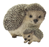 Mother & Baby Hedgehogs