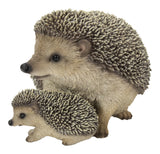 Mother & Baby Hedgehogs