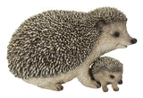 Mother & Baby Hedgehogs