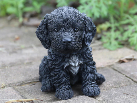Pet Pals black sitting Cockapoo puppy statue made from polyresin for indoor and outdoor home and garden décor.