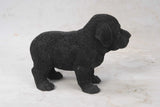 Pet Pals standing Black Labrador puppy statue with realistic details made from polyresin for indoor and outdoor home and garden décor.