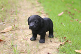 Pet Pals standing Black Labrador puppy statue with realistic details made from polyresin for indoor and outdoor home and garden décor.