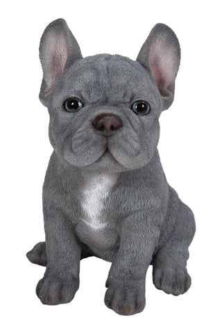 Pet Pals blue French Bulldog puppy statue made from polyresin with realistic details for indoor and outdoor home and garden décor.