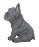 Pet Pals blue French Bulldog puppy statue made from polyresin with realistic details for indoor and outdoor home and garden décor.