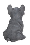 Pet Pals blue French Bulldog puppy statue made from polyresin with realistic details for indoor and outdoor home and garden décor.