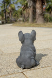 Pet Pals blue French Bulldog puppy statue made from polyresin with realistic details for indoor and outdoor home and garden décor.