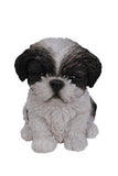Pet Pals sitting Shih Tzu puppy garden statue made from polyresin with realistic details for indoor and outdoor décor.