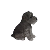 Pet Pals sitting Schnauzer puppy garden statue made from polyresin for indoor and outdoor home and garden décor.