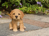 Pet Pals Brown Cockapoo Puppy Statue