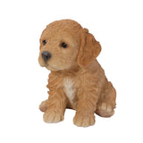 Pet Pals brown sitting Cockapoo puppy statue made from polyresin for indoor and outdoor home and garden décor.