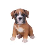 Pet Pals Boxer puppy statue made from polyresin with realistic details for indoor and outdoor home and garden décor.