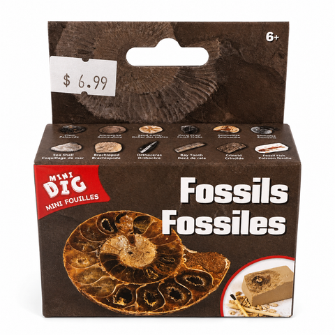 Mini Dig Fossils excavation kit with surprise fossil discovery activity for kids and collectors at Tricia’s Gems