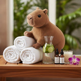 Webkinz Capybara plush stuffed animal with adoption code capybara toy