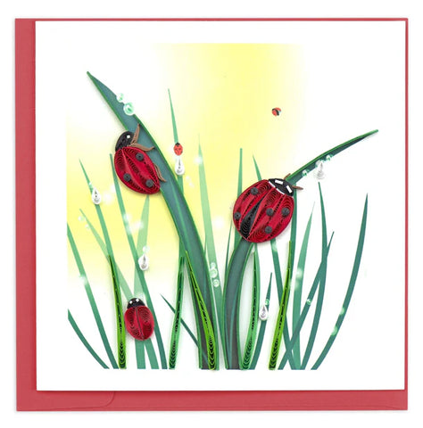 Quilled Ladybug greeting card with ladybug climbing dew-covered grass paper quilling design