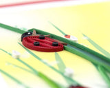 Quilled Ladybug greeting card with ladybug climbing dew-covered grass paper quilling design