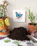 Quilled Blue Butterfly Greeting Card