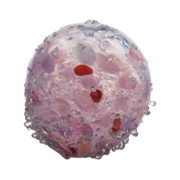 Bee Balls 6" | Kitras Art Glass - Tricia's Gems