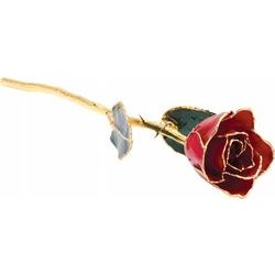 Laquered 24k Gold or Platinum Trimmed Roses Assorted Colours - Tricia's Gems