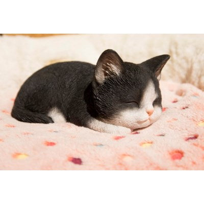 Kitten Sleeping Black and White - Tricia's Gems