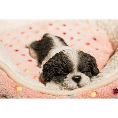 Pet Pals - Shihtzu Puppy Sleeping Figurine - Tricia's Gems