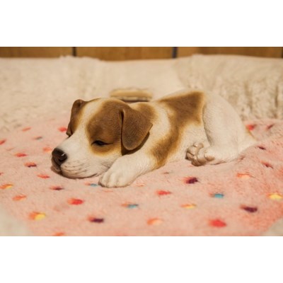 Pet Pals - Jack Russell Puppy Sleeping - Tricia's Gems