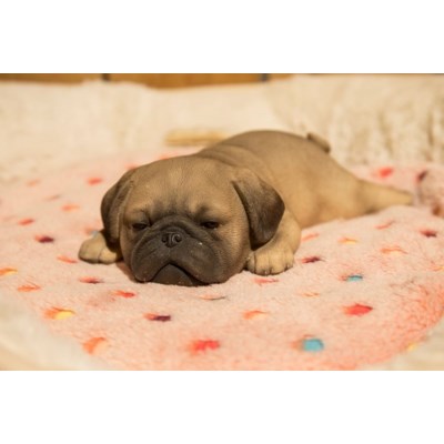 Pet Pals - Pug Puppy Sleeping Figurine - Tricia's Gems