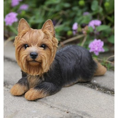 Dog-Yorkshire Terrier Lying Down - Tricia's Gems