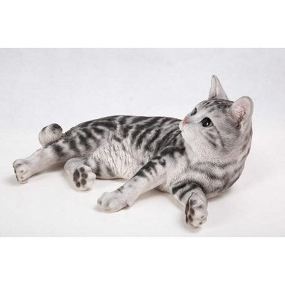Cat - American Shorthair Lying Down. - Tricia's Gems
