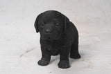 Pet Pals standing Black Labrador puppy statue with realistic details made from polyresin for indoor and outdoor home and garden décor.