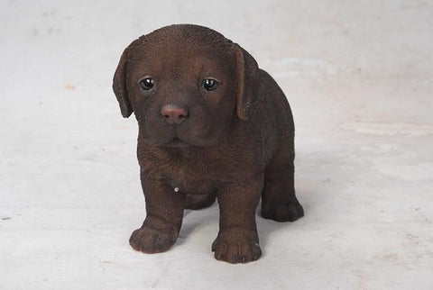 Pet Pals - Labrador Puppy Standing - Chocolate - Tricia's Gems