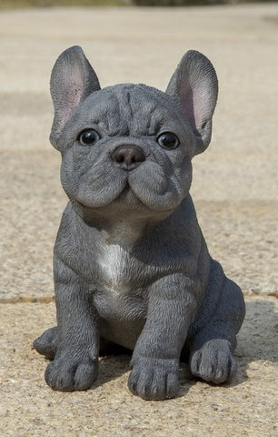 Pet Pals - Blue French Bulldog Puppy - Tricia's Gems
