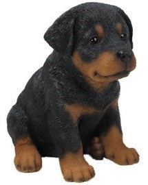 Pet Pals - Rottweiler Puppy Figurine - Tricia's Gems