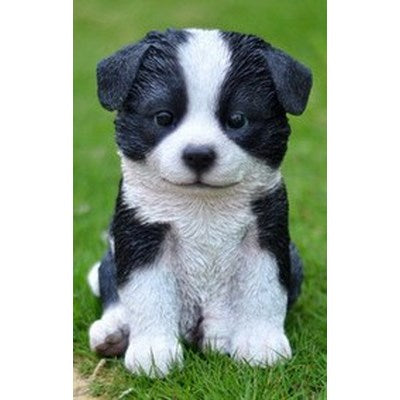 Pet Pals - Border Collie Puppy - Tricia's Gems