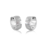 CZ Curve Earrings | Italgem Steel - Tricia's Gems