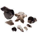 Smoky Quartz Cluster - Tricia's Gems