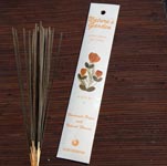 Nature's Garden Incense Sticks Cinnamon - Tricia's Gems