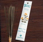 Nature's Garden Incense Sticks Patchouli - Tricia's Gems