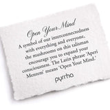 Open Your Mind Talisman Pendant | Pyrrha - Tricia's Gems