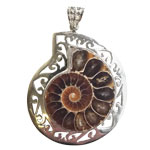 Ammonite Pendant with Filligree Edge - Tricia's Gems